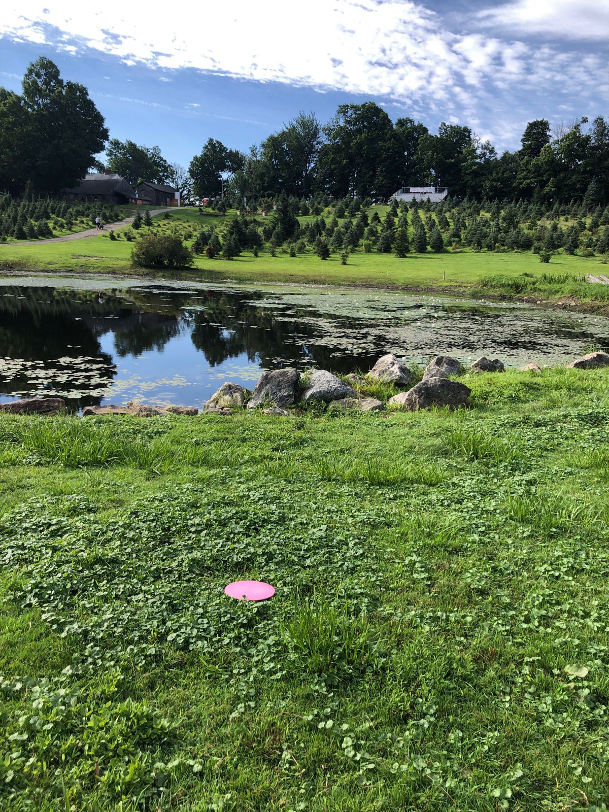 Hole 1 looking towards tee