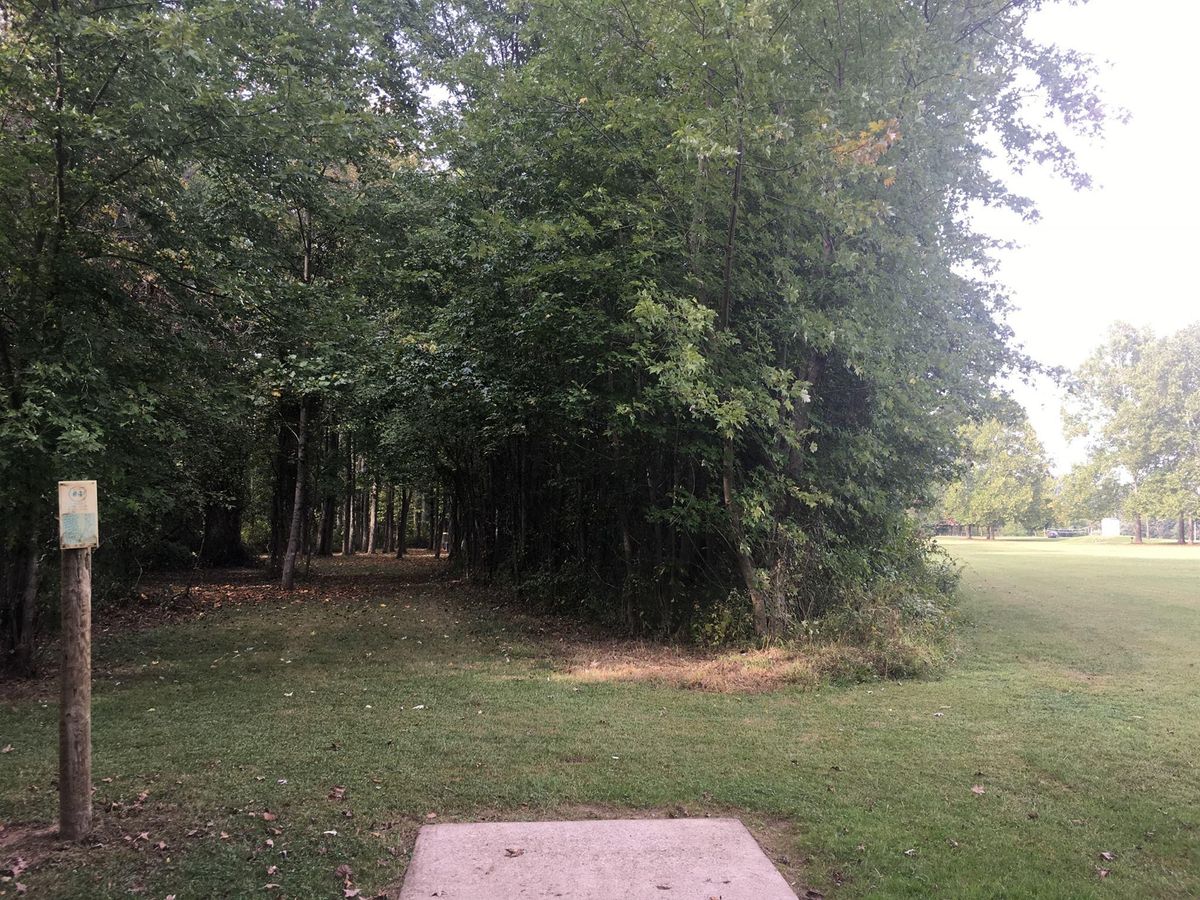 Hole 4 short tee.