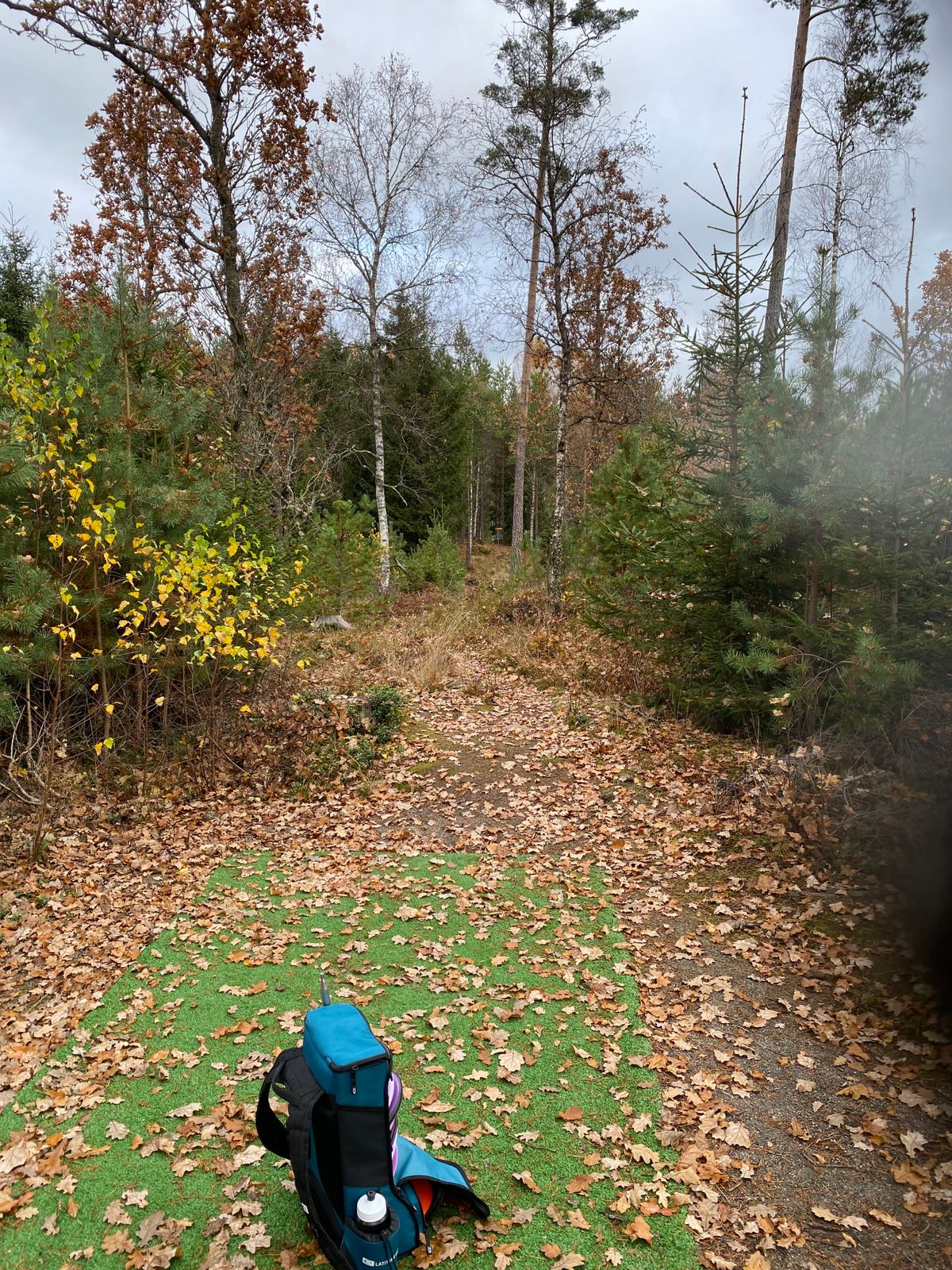 Hole 5. Hit your line.
