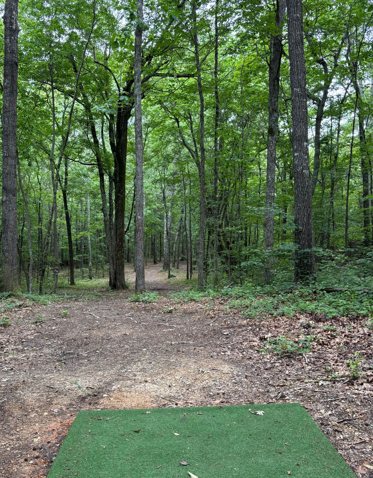 Hole #3 Tee