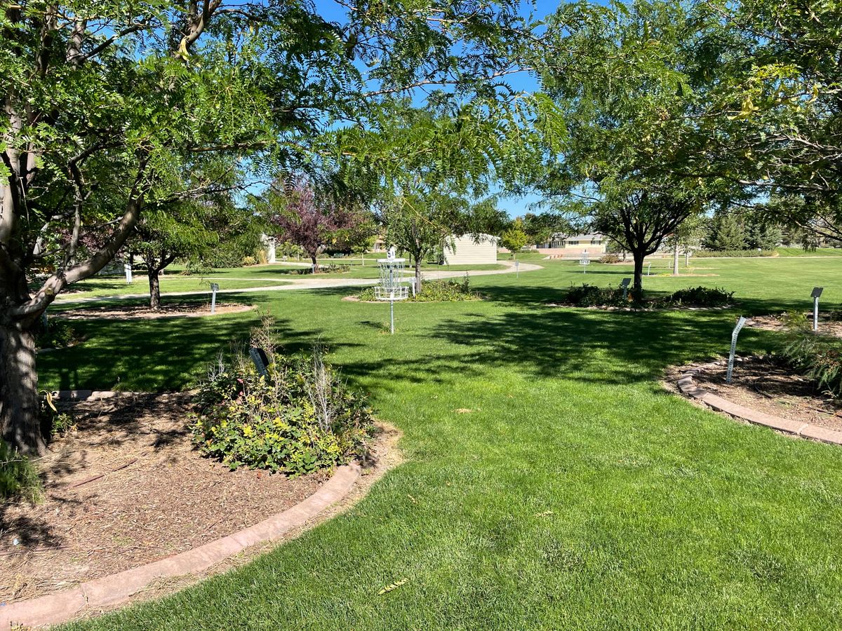 Hole 5