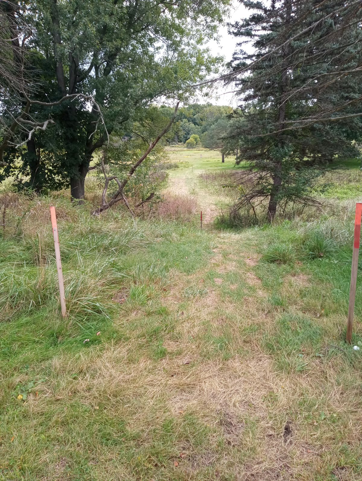 Hole 15