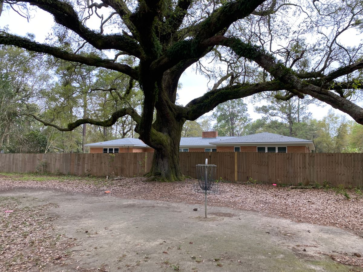 Beautiful tree. Nice short hole before you get really into the woods!