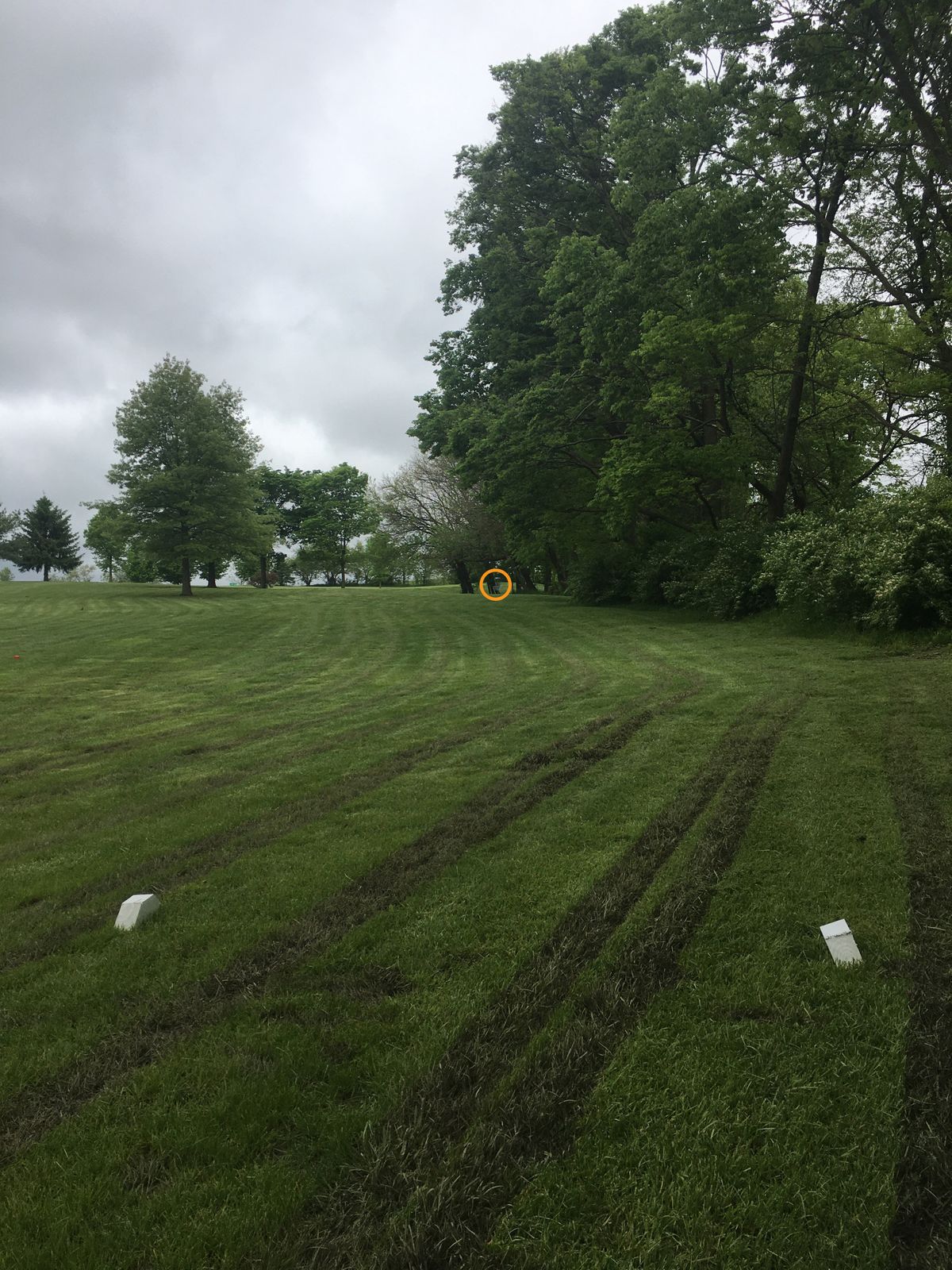 Hole 2 from the tee box