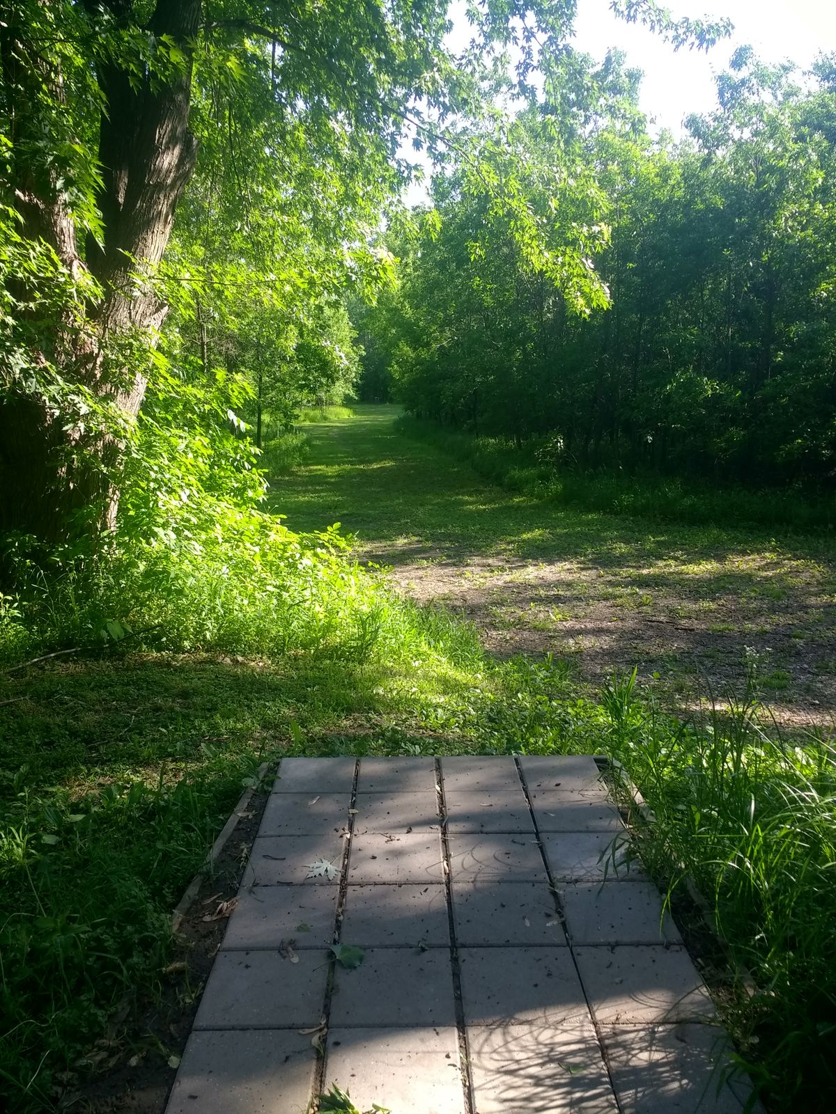 Hole 17