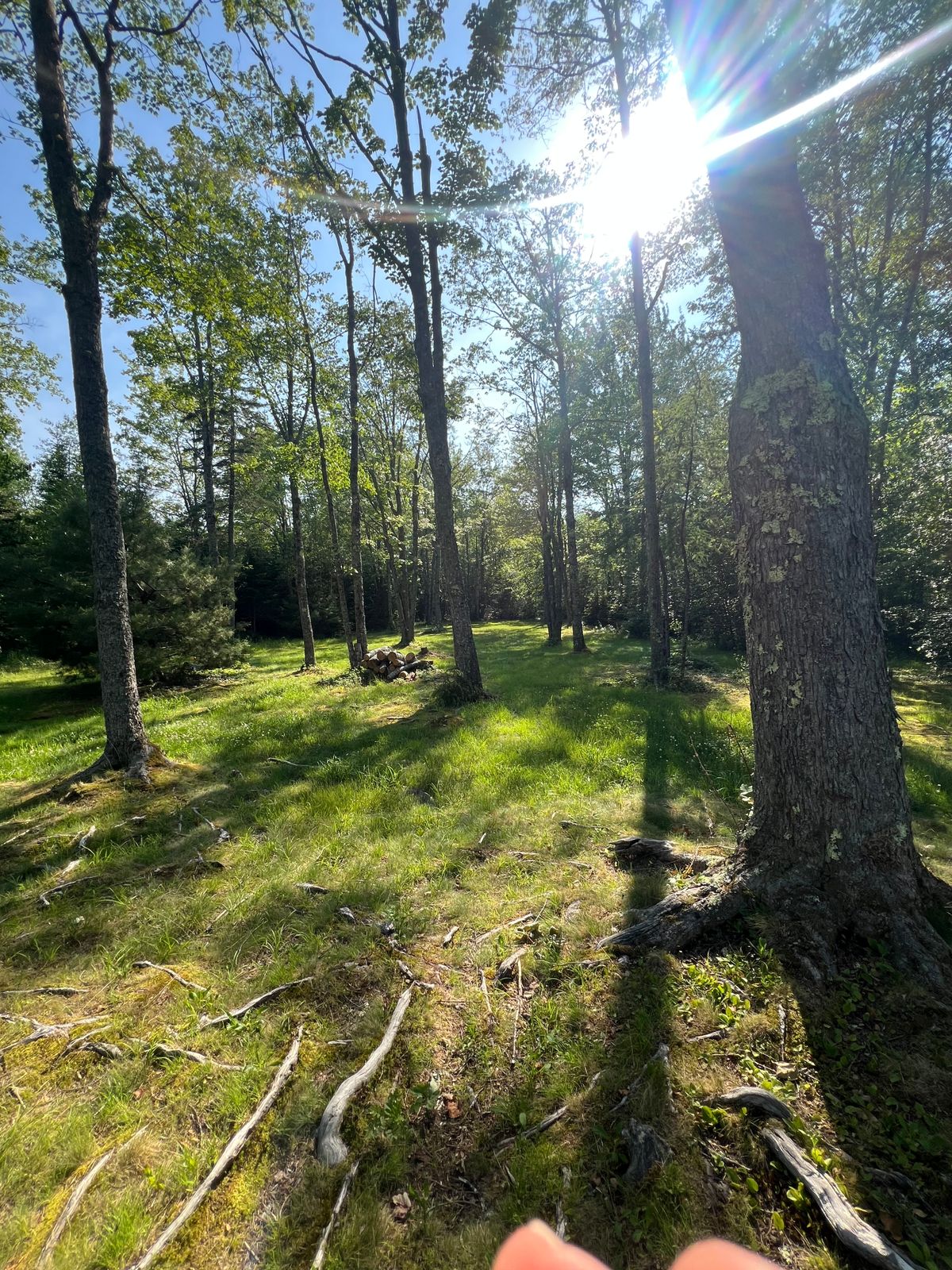 Hole 1