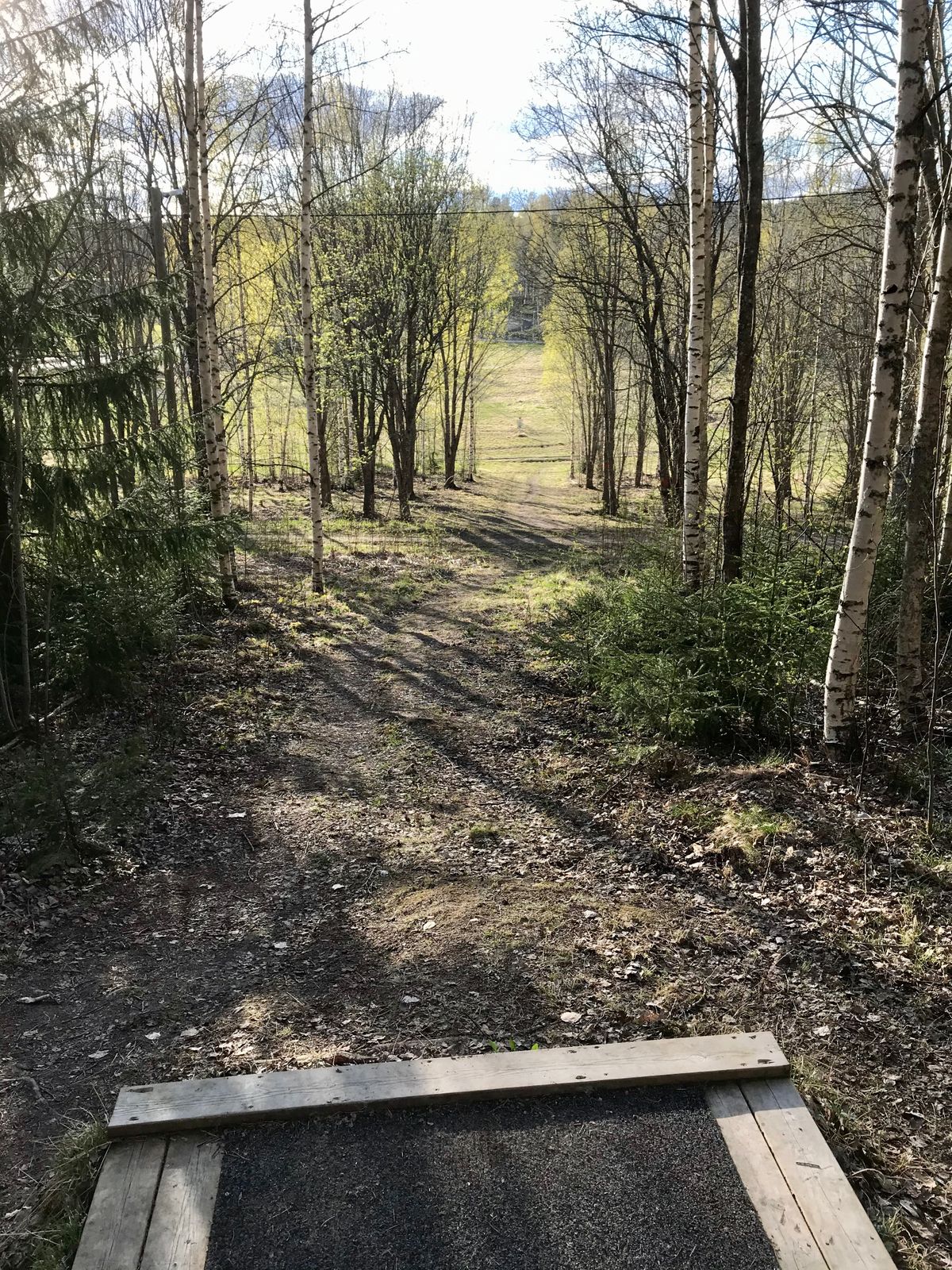 Fairway, hål 12.
