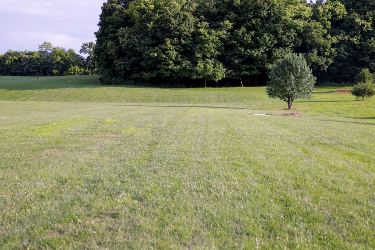Hole 12 - long tee