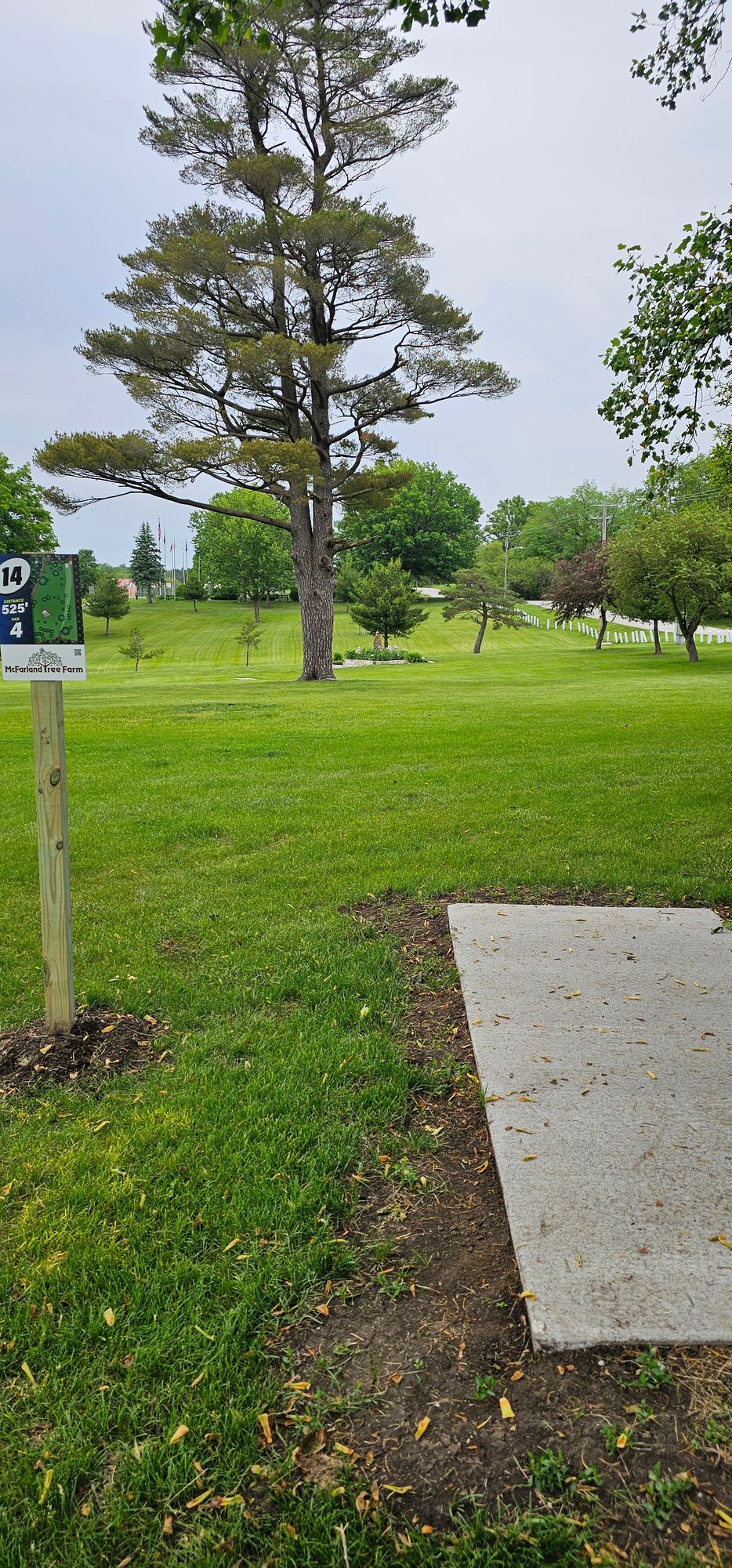 14 tee