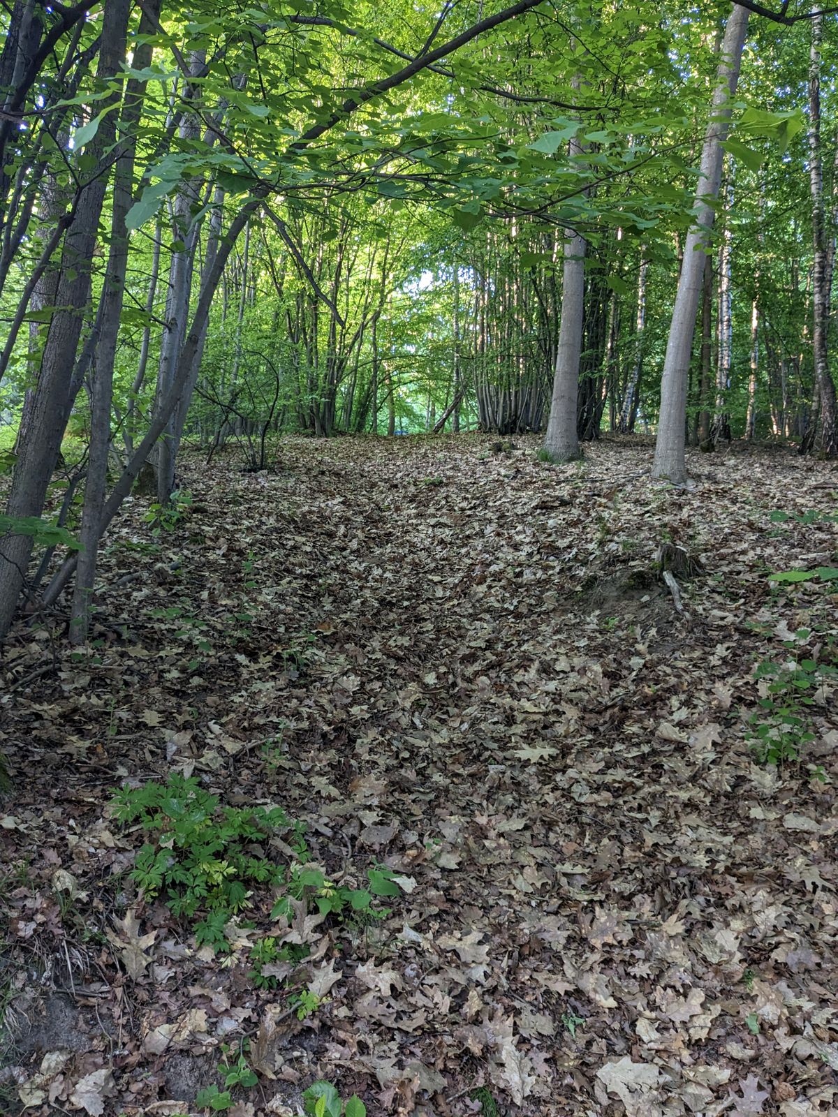 Hole 3