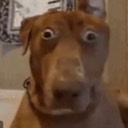 benjischwartz