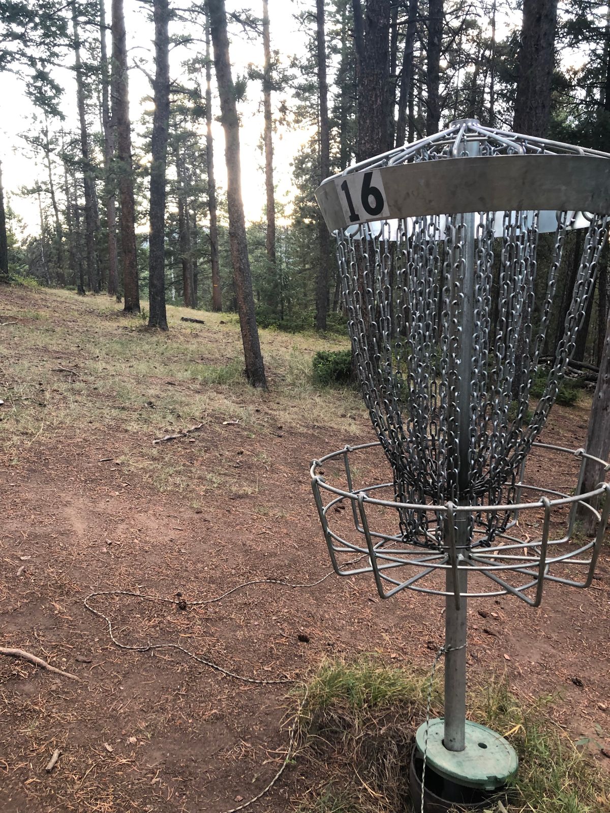 Great baskets