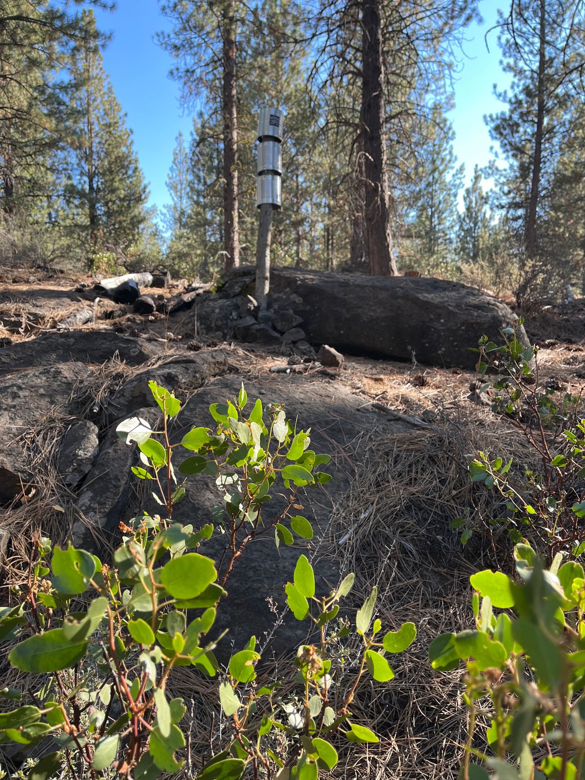 Hole 9