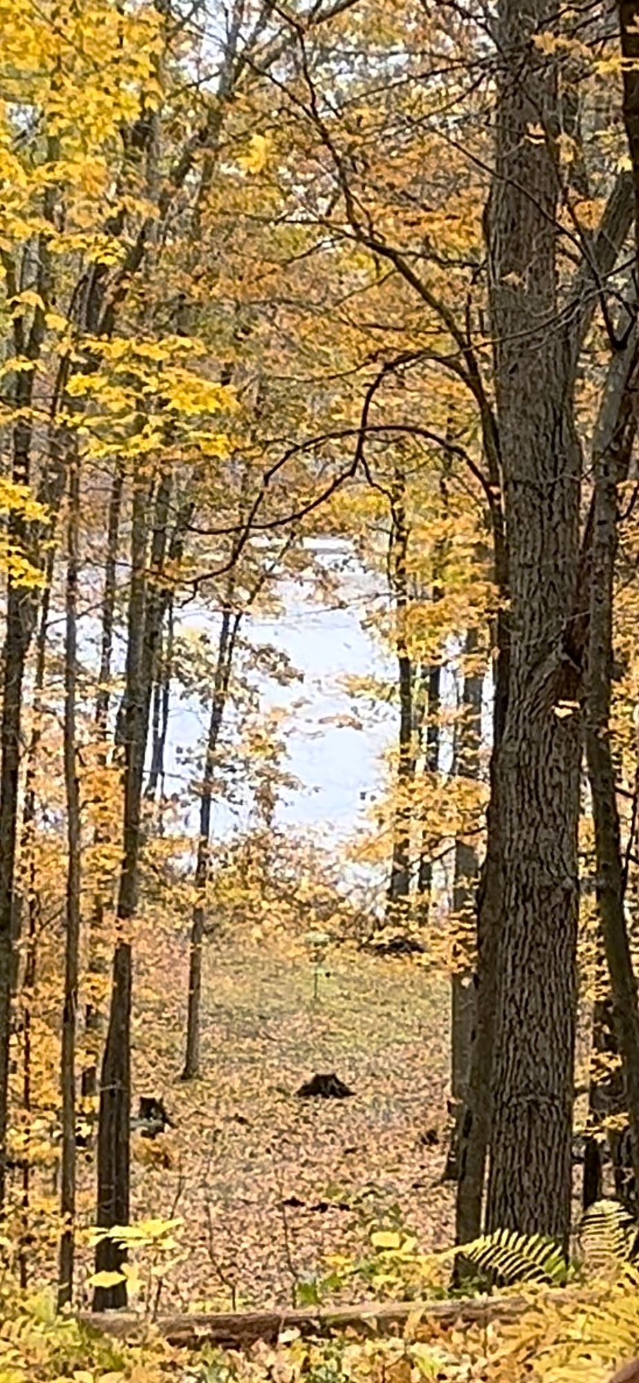 9 (zoomed in)