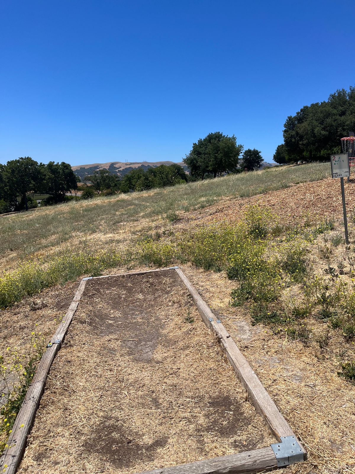 Hole 2 (June 25)