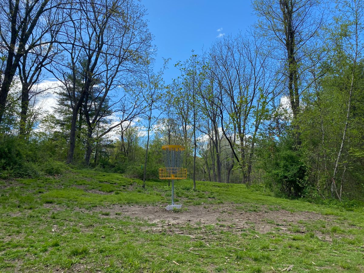 Hole 9 basket
