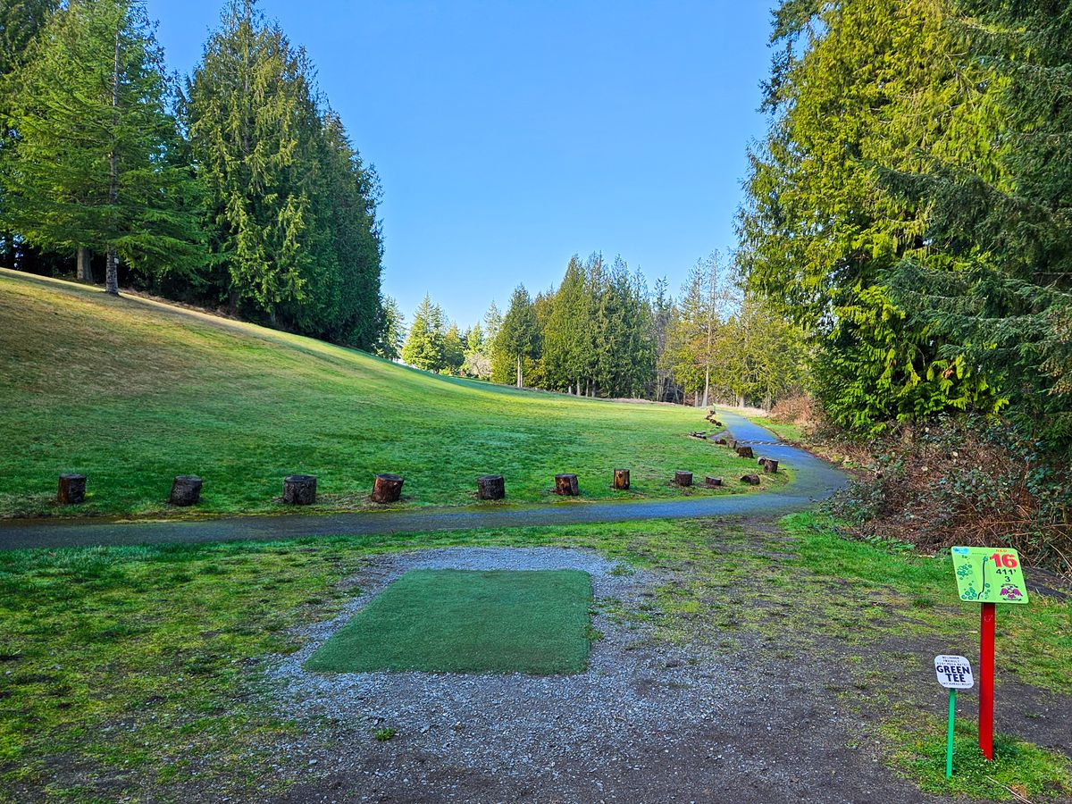 Hole 16 tee pad