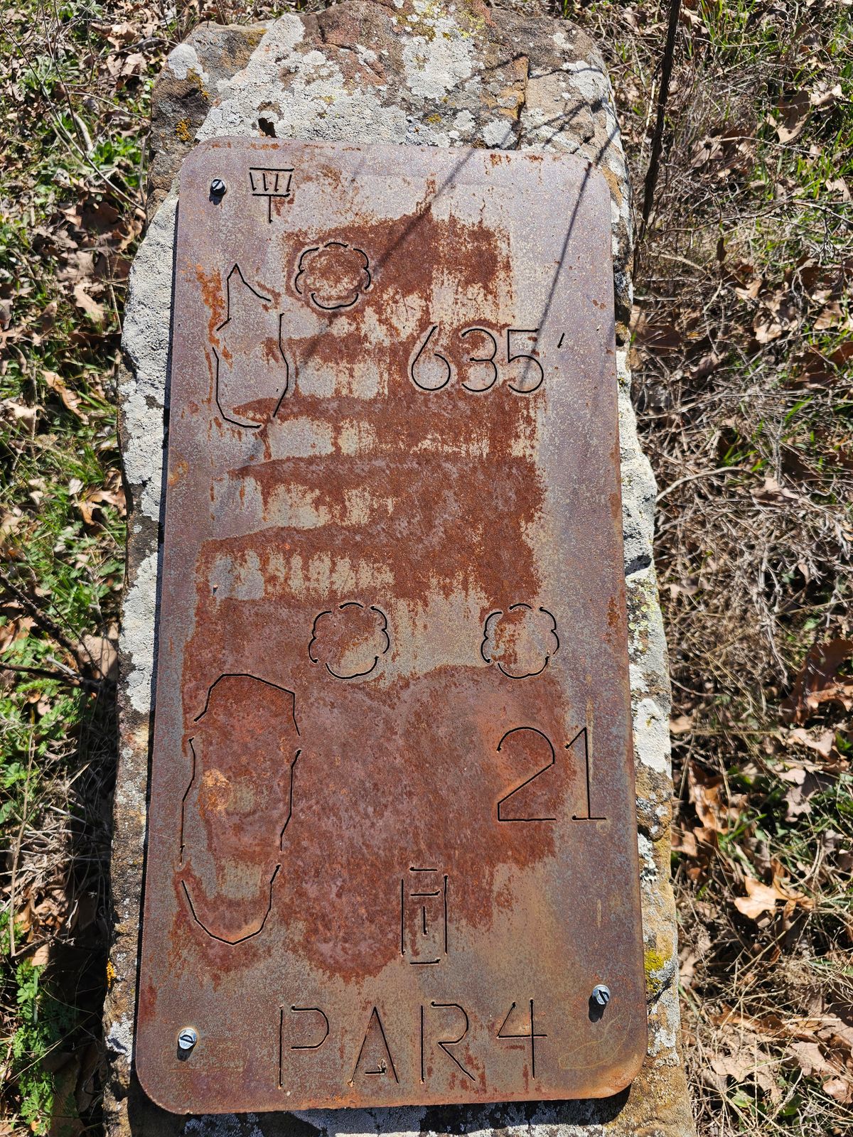 Hole 21