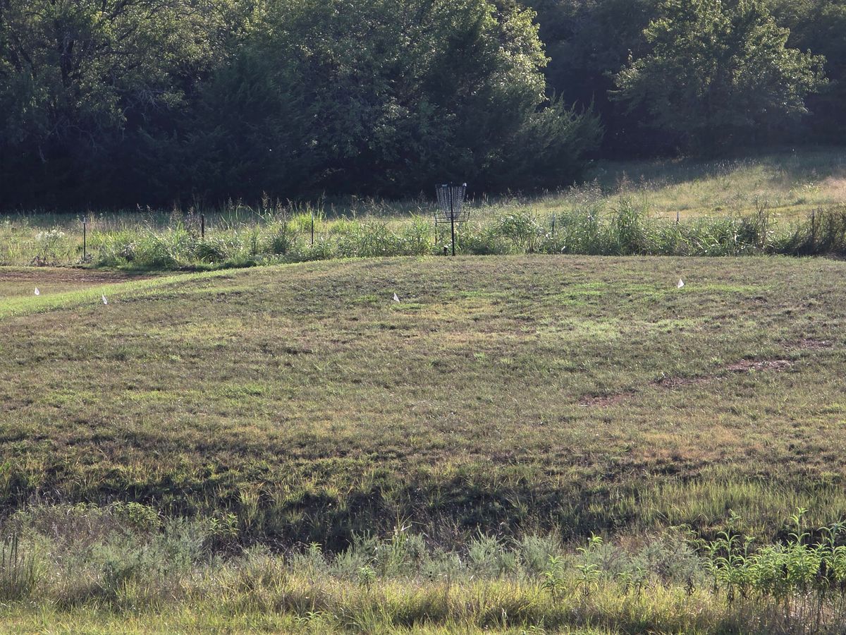 hole 15 island green