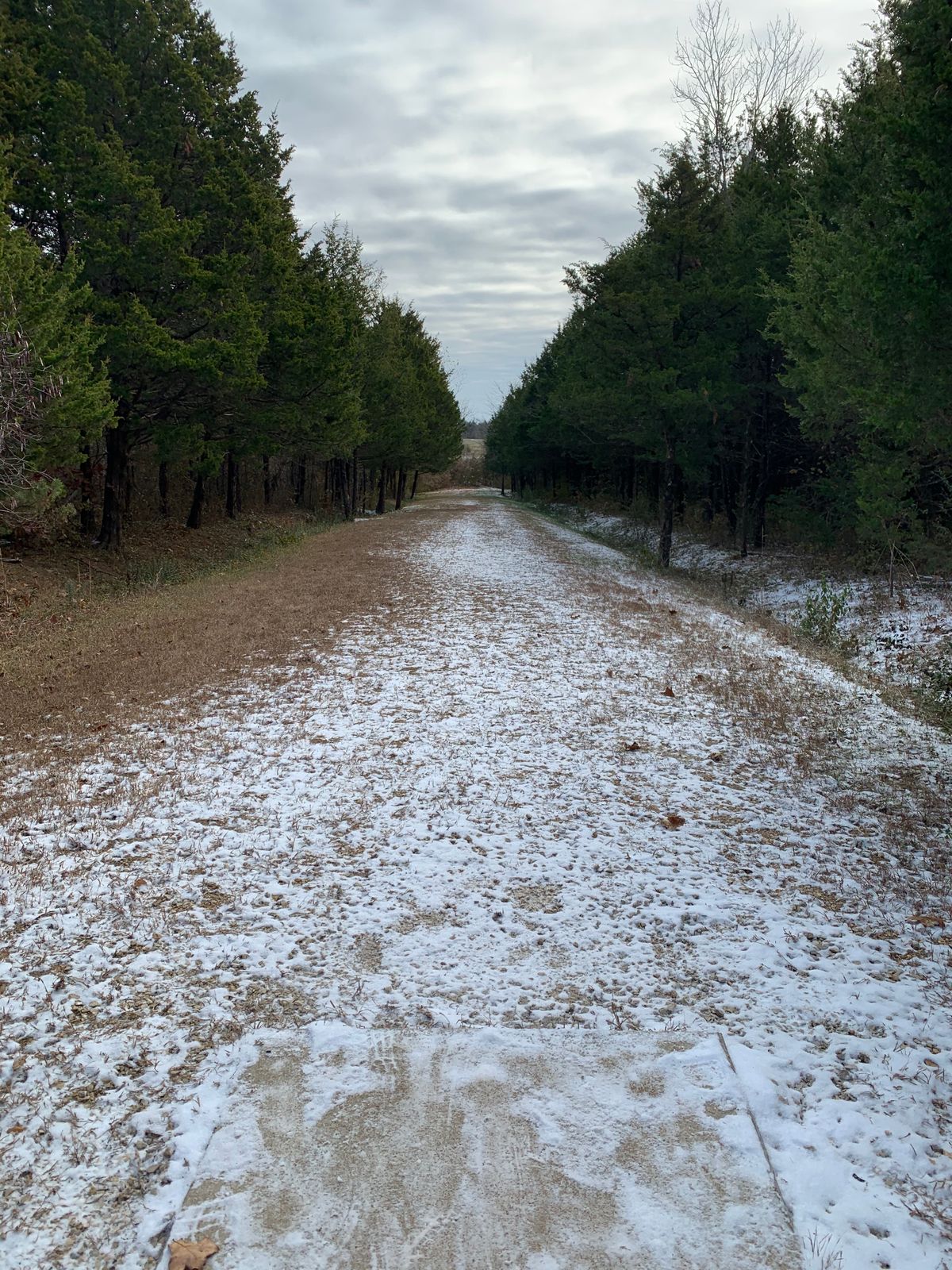 Hole 14