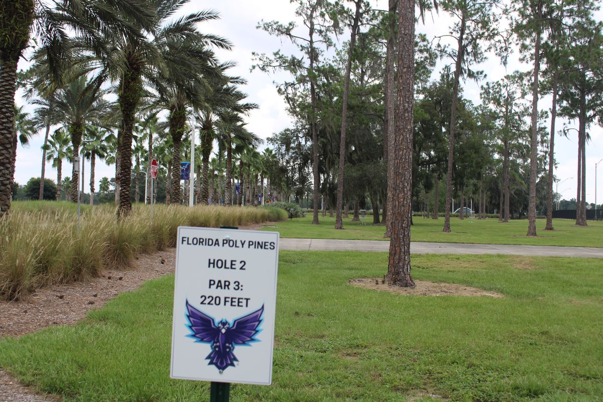 Hole 2 Tee Box