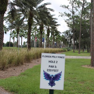 Hole 2 Tee Box