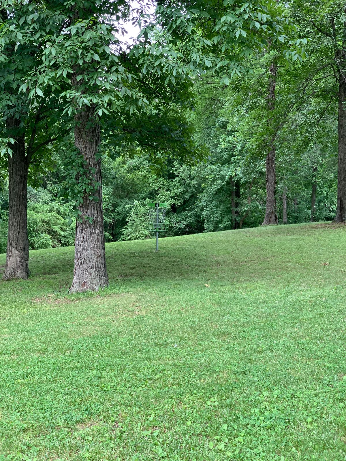 Hole 3 basket