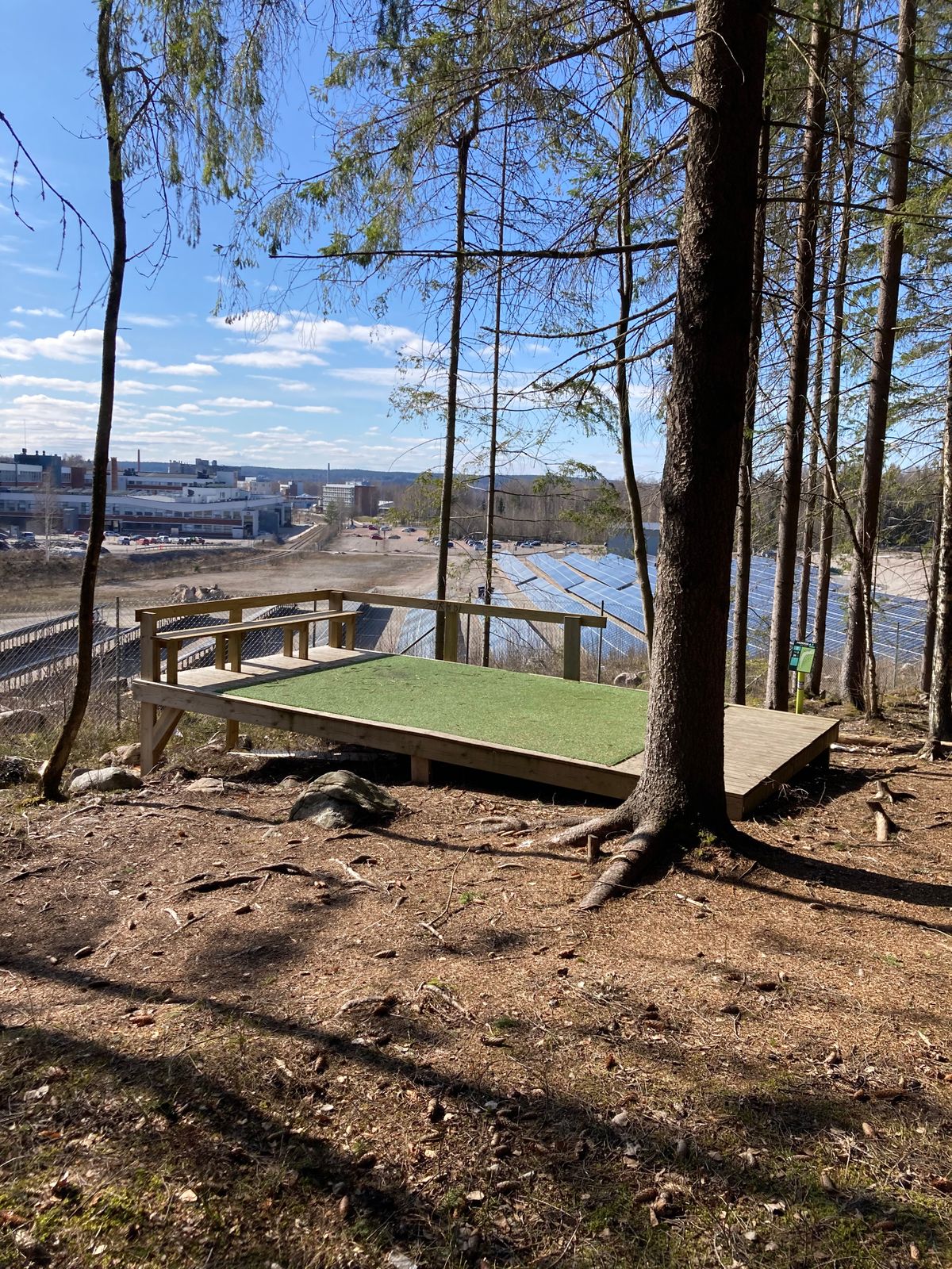 Forest hole 11