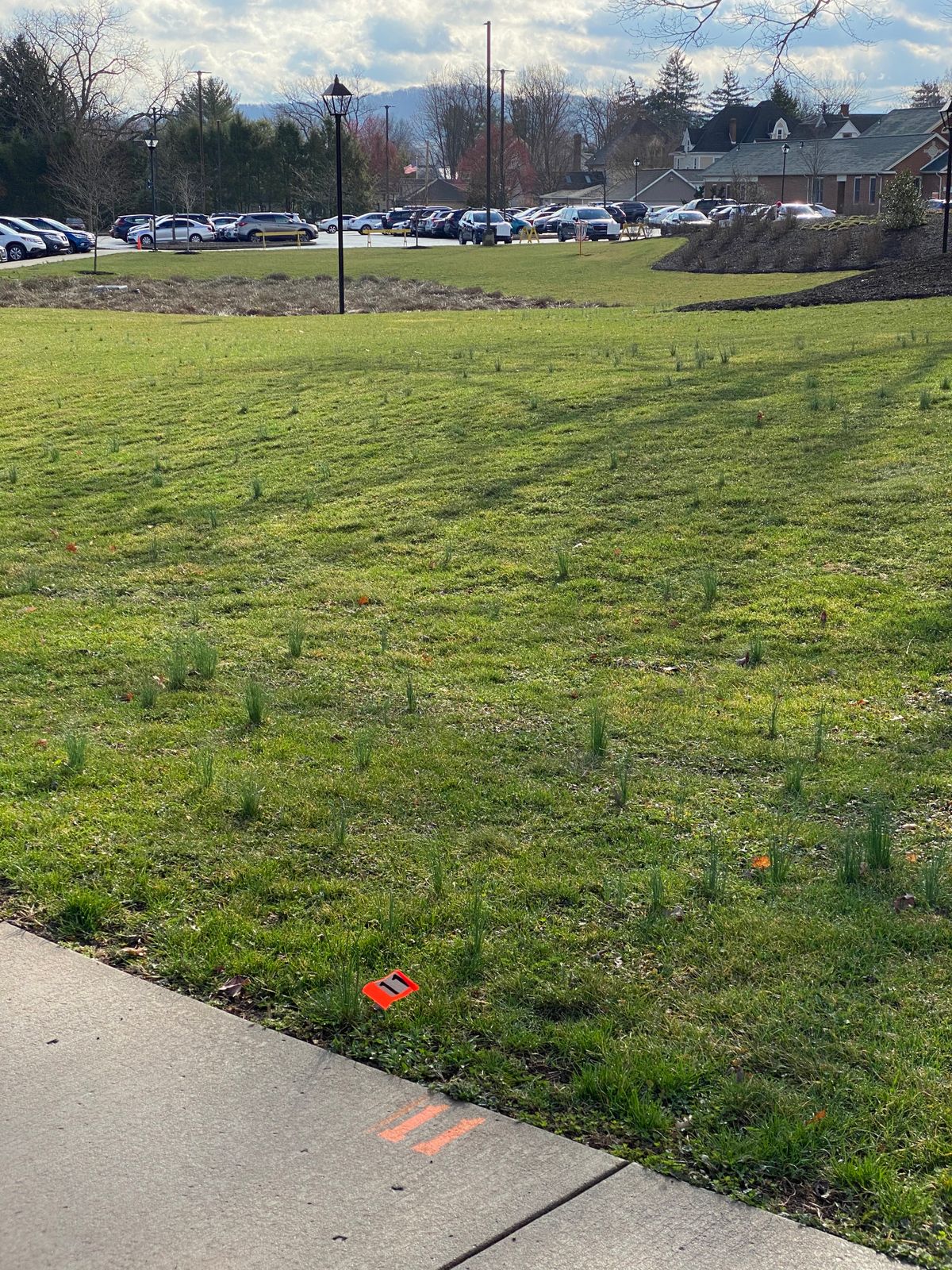 Hole 11. Sidewalks and parking lot are OB.