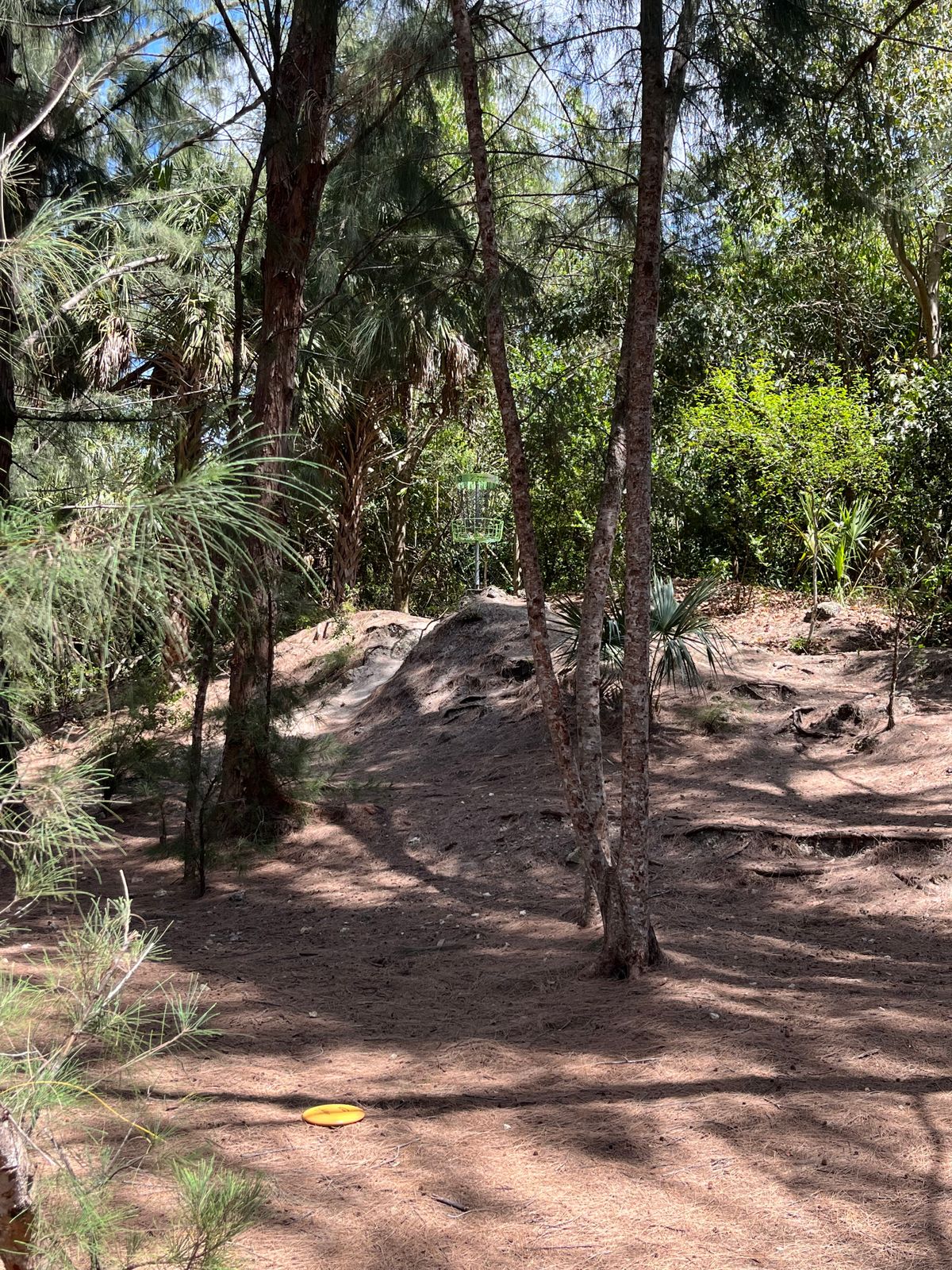 hole 13 elevated