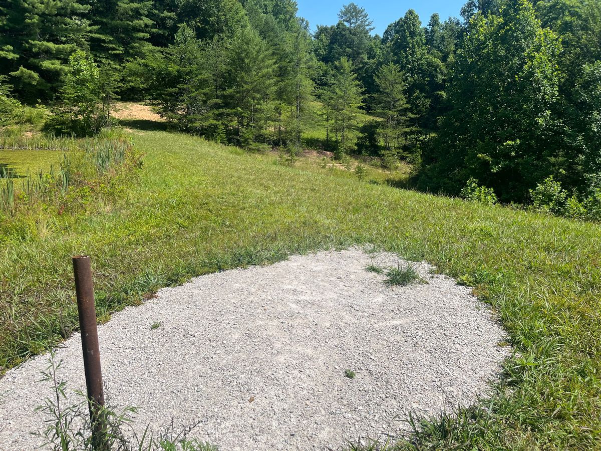 Basket is straight ahead through the trees.  Tee for hole 3 is to the right.  