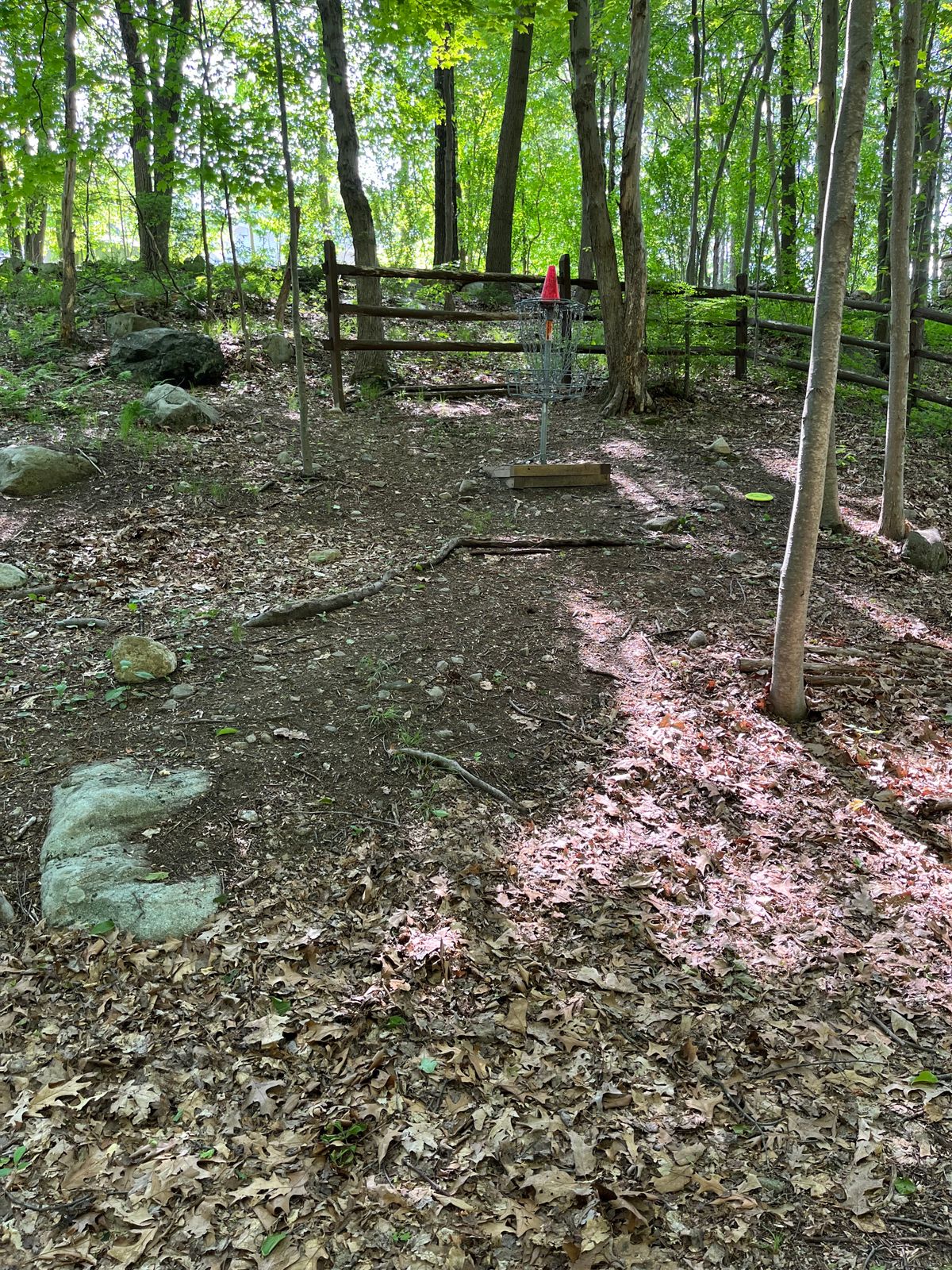 Hole 3 and hole 14 basket
