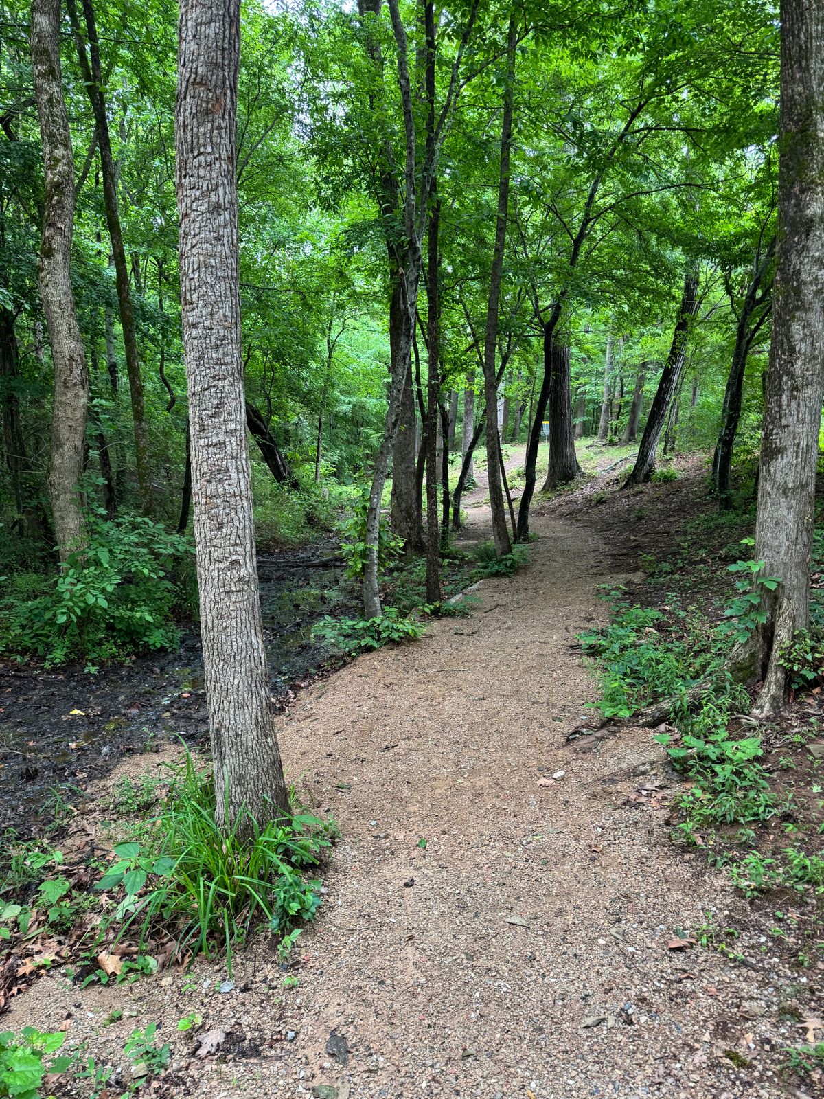 Hole 7 fairway