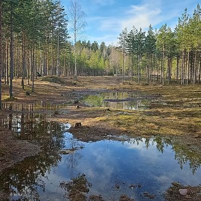 Hål 3 kan vara blött efter vinterns snösmältning.