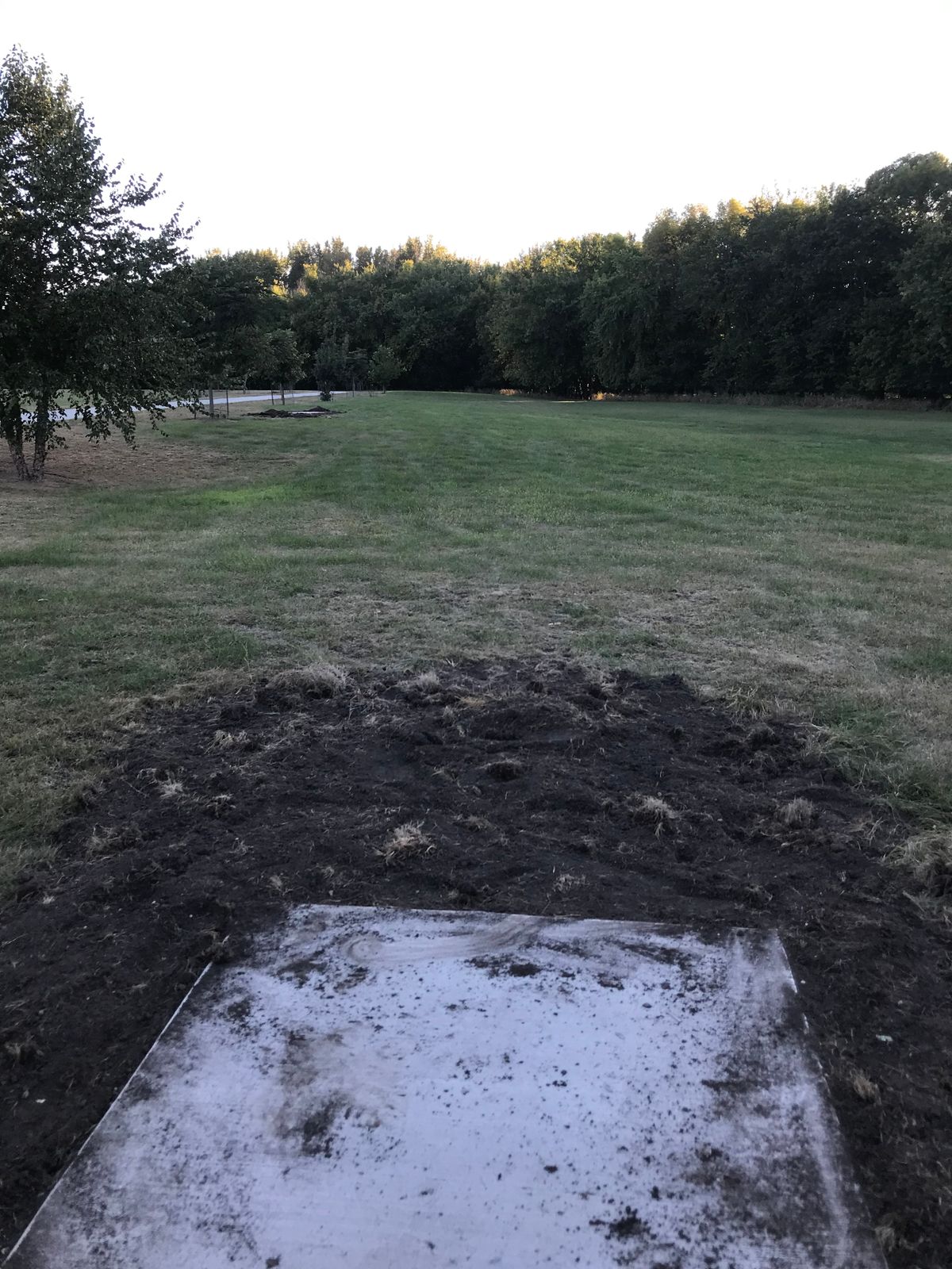 Hole 15 Long Pad