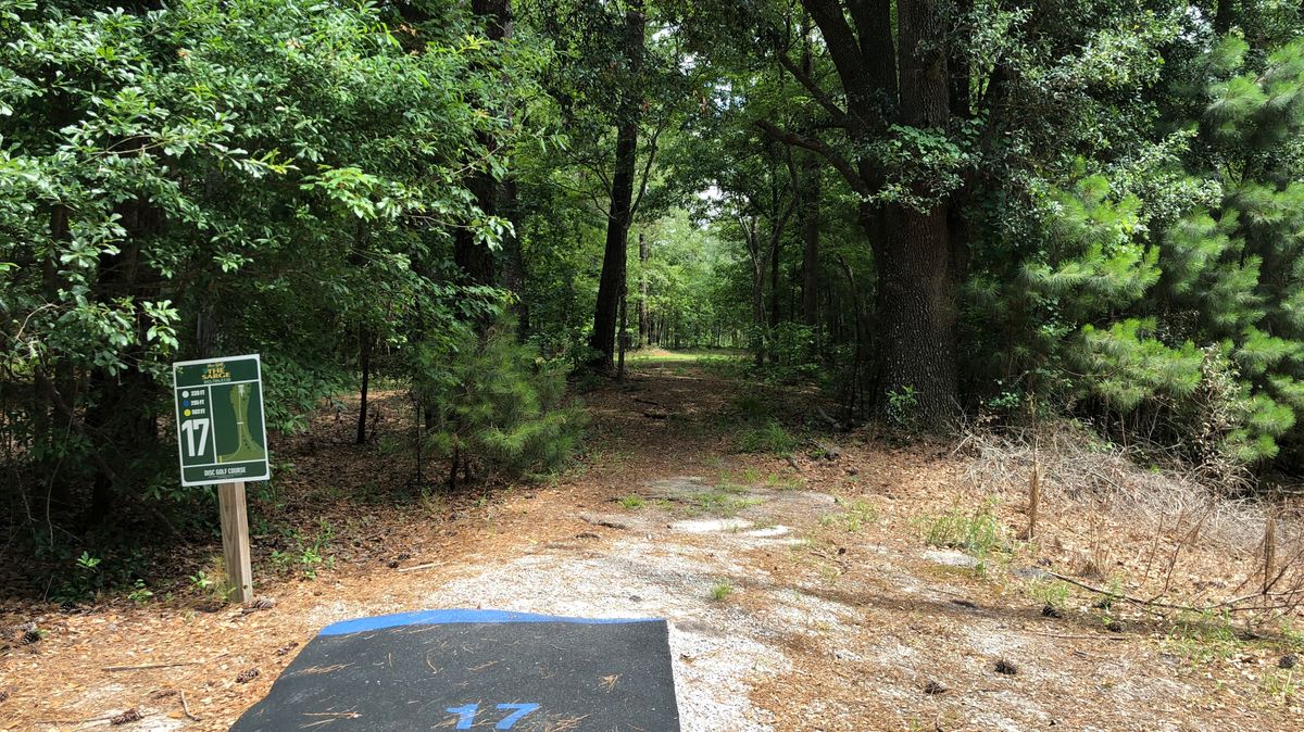 Hole 17