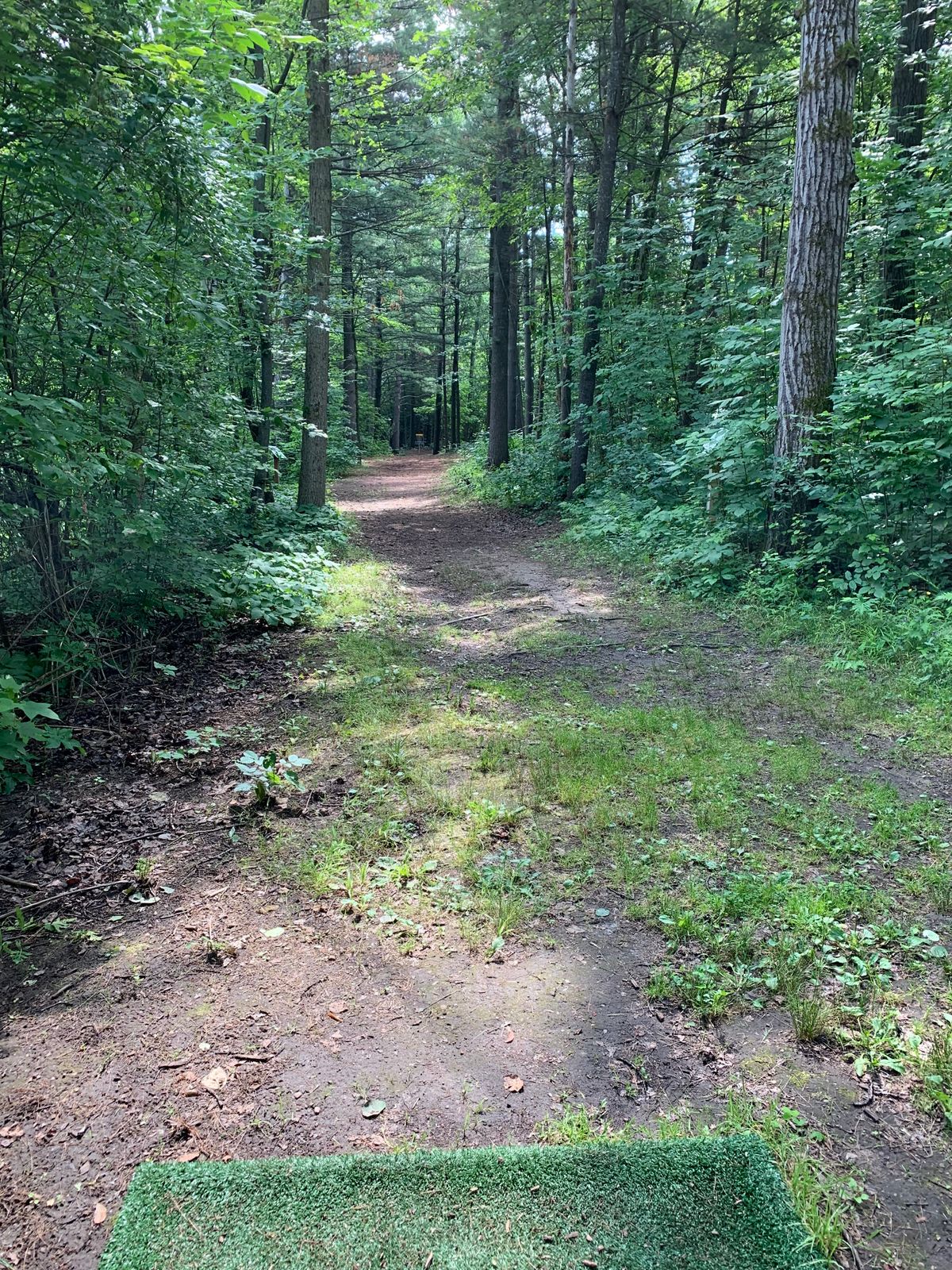 Hole 8