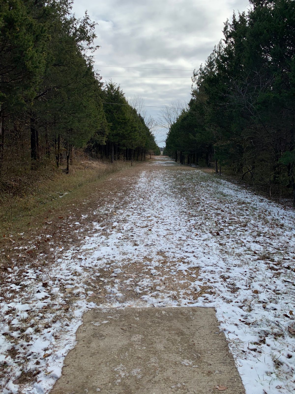 Hole 13