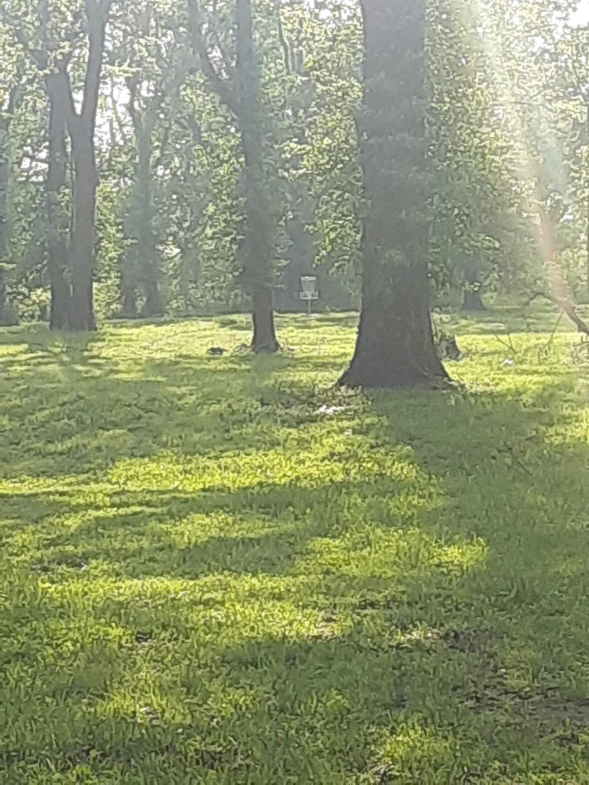 Hole 3