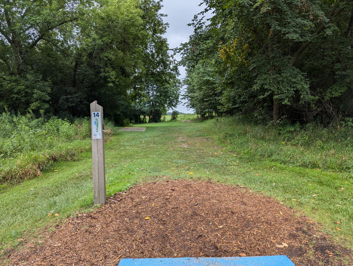 Hole 14 tee