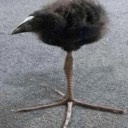 billynergo