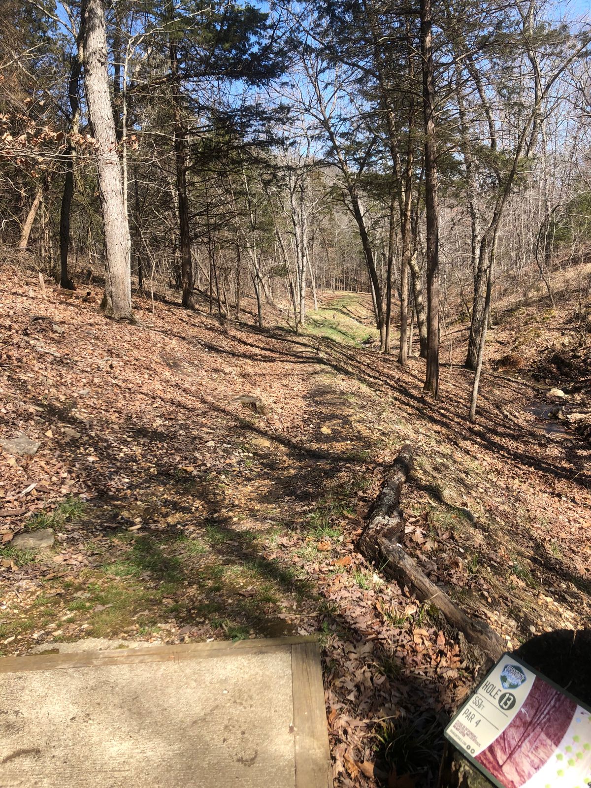 Beautiful hole 13 tee shot. Early left is jail!