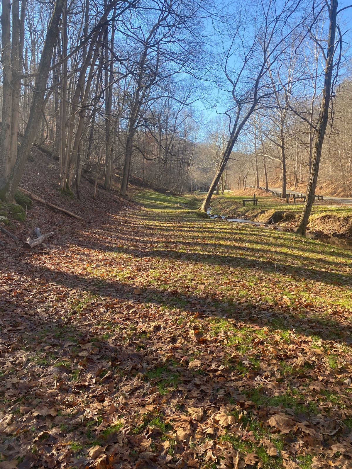 A walk in the park.