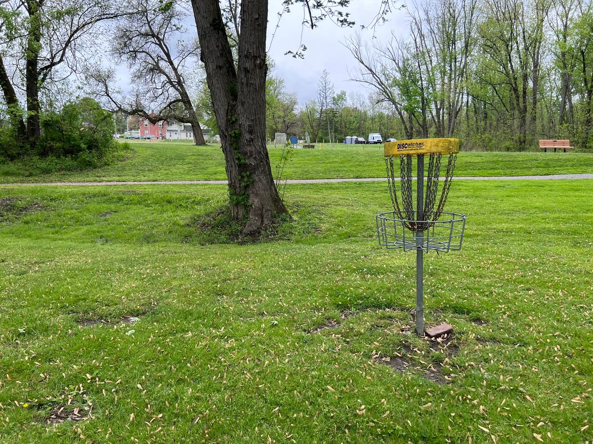 Basket 1 looking back at the tee