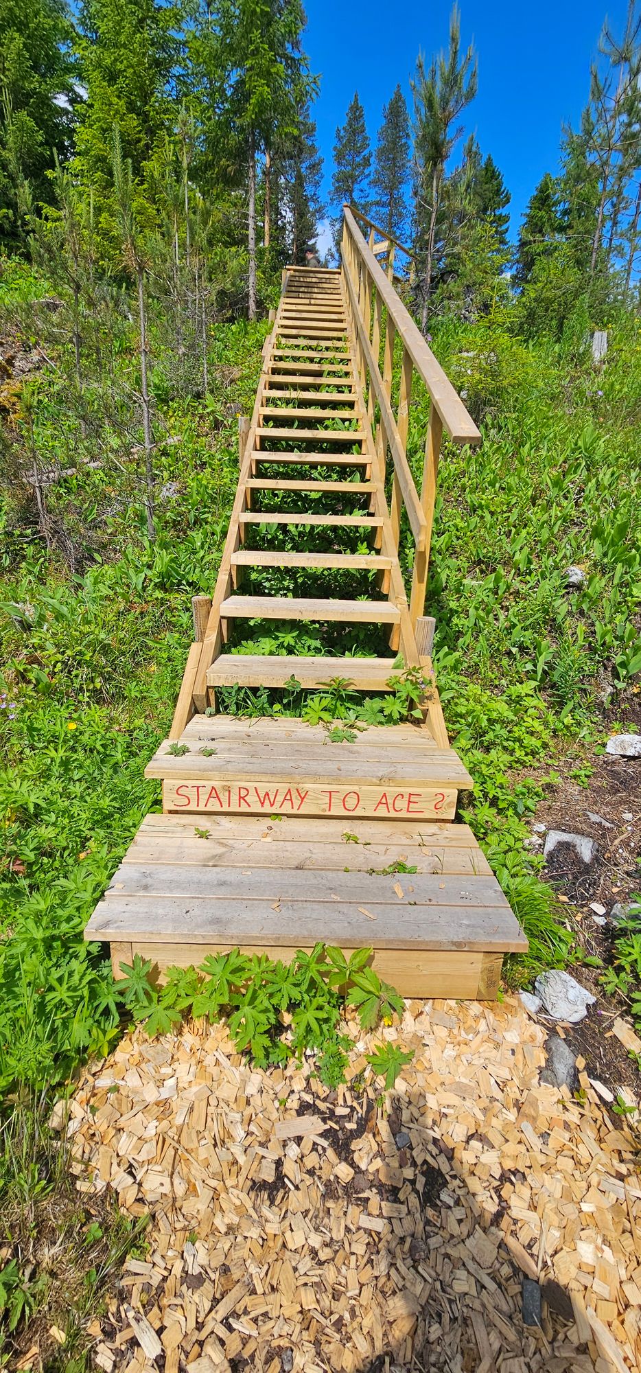 Stairway to ace på hull 8?