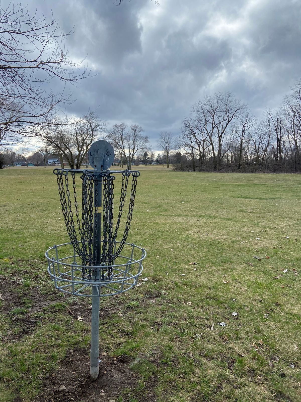 Hole 4 basket looking back towards tee