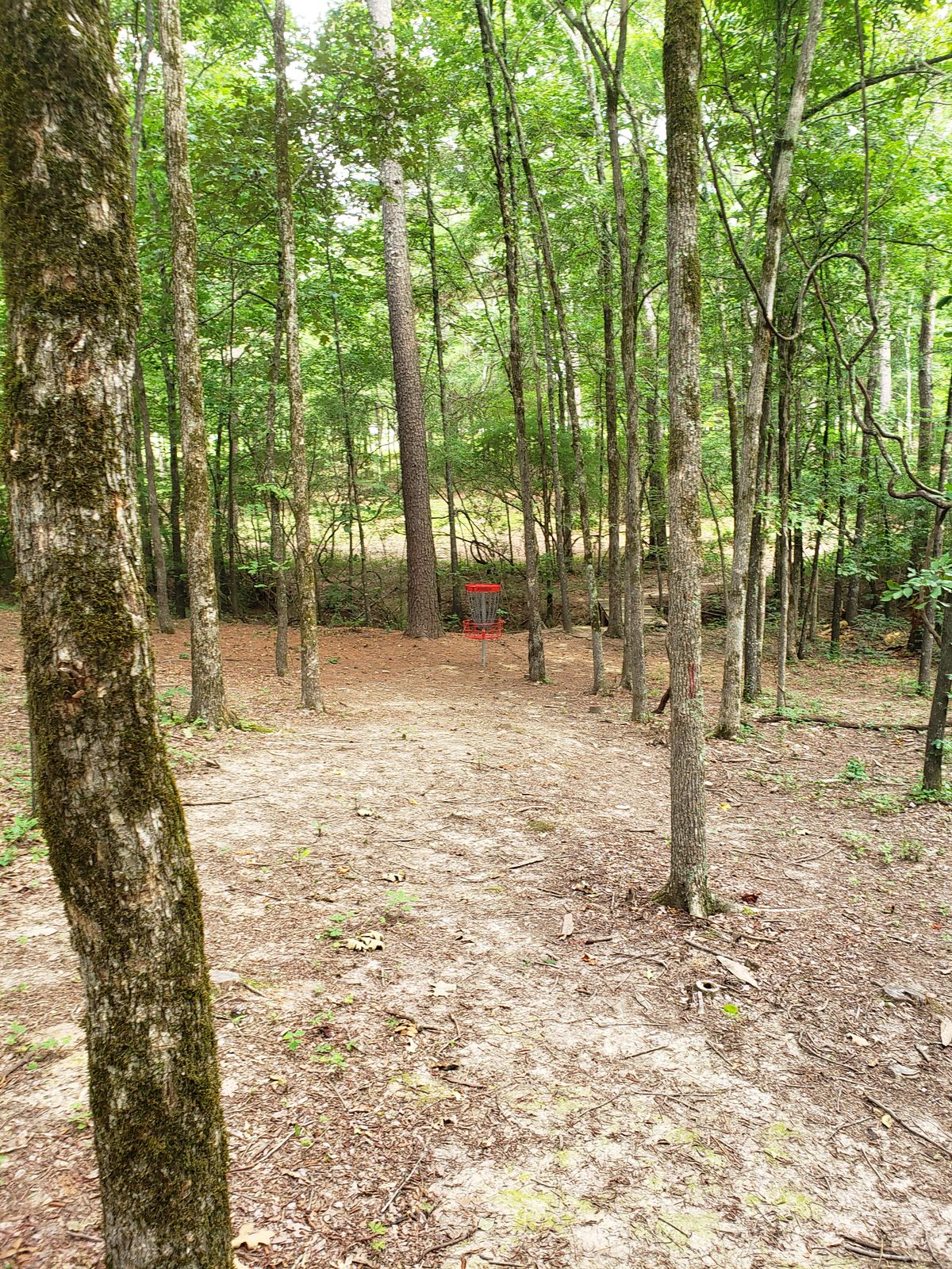 #9 Red Basket Approach