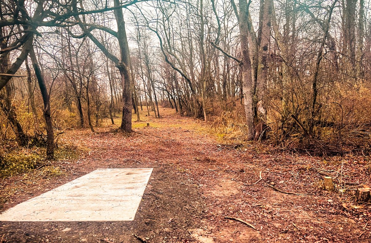 Tee pad of hole 5
