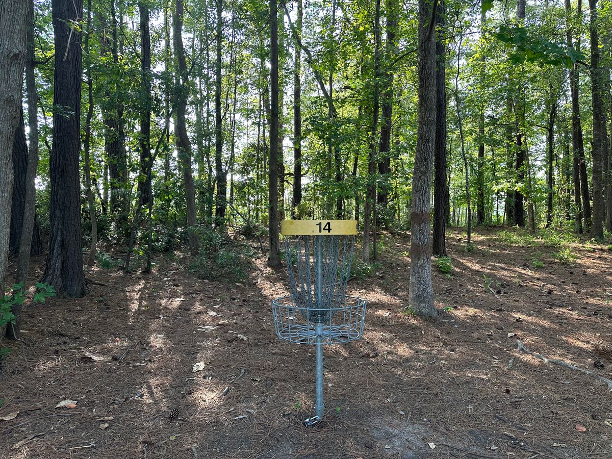Hole 14 Basket