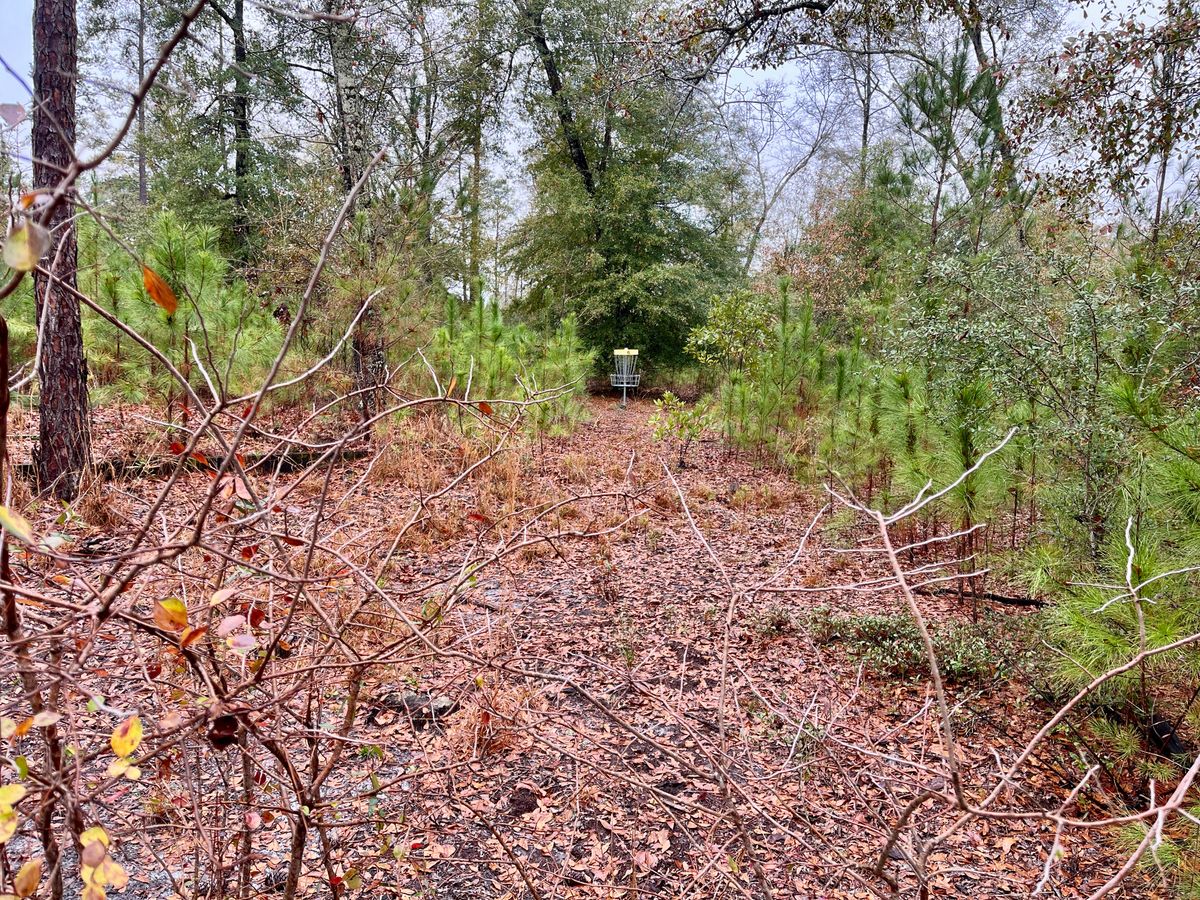 Hole 6 approach